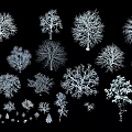 Various Arbor Trees Silhouette Collection With Different Sizes And Shapes On Black Background 3d model
