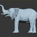 Light Blue Elephant Model Standing On Dark Background With Reflection 3d model