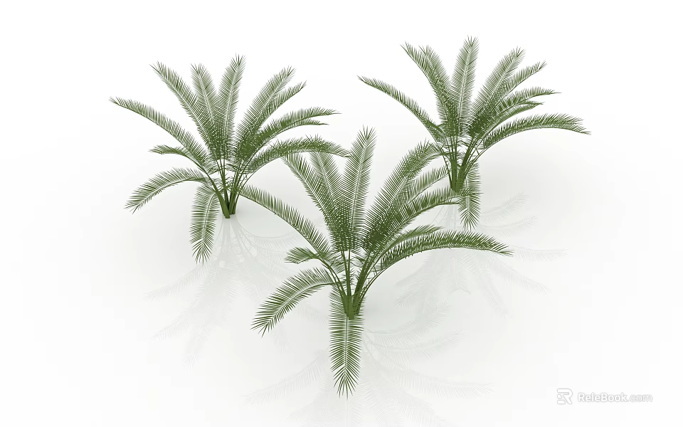 Three Green Shrubs with Feathery Leaves Ideal for Modern Garden Landscaping 3d model 