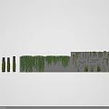 Lush Green Vines Assortment Featuring Hanging Climbing And Decorative Plant Varieties