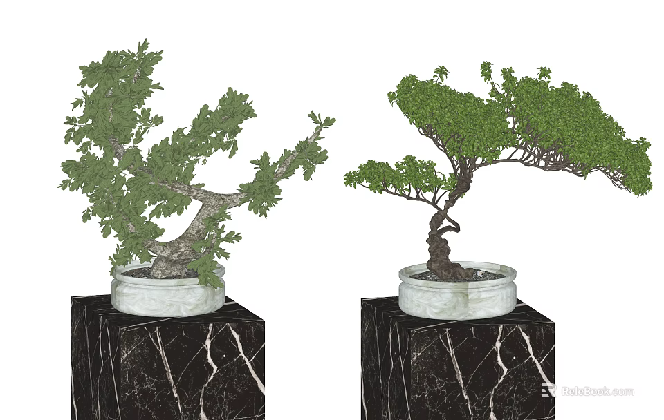 Shaped Bonsai Plants With Green Foliage In Ceramic Pots On Black Marble Pedestals 3d model 