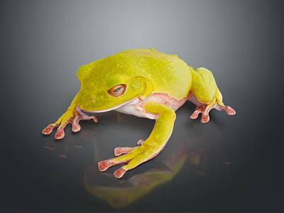 Vibrant Green Frog With Red Eyes Sitting On Reflective Dark Background Surface 3d model