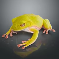 Vibrant Green Frog With Red Eyes Sitting On Reflective Dark Background Surface 3d model