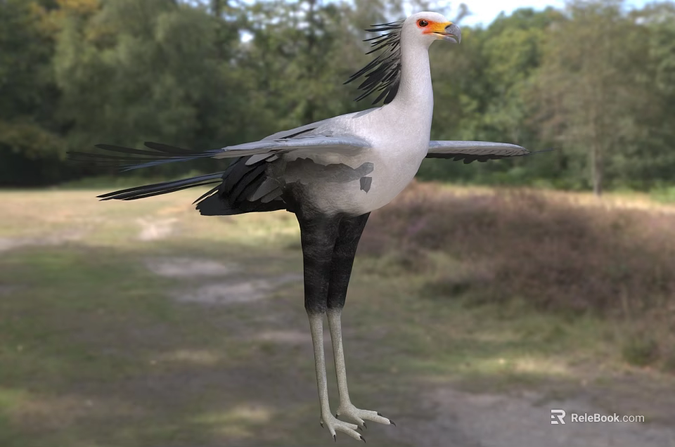 Secretary Bird Spreading Its Wings In A Natural Landscape 3d model 