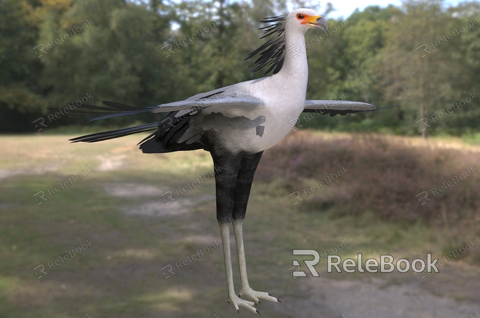 Snake Vulture Secretary Bird Marching Eagle Egret Eagle Snake Vulture Griffin Bird Archer Bird Animal model