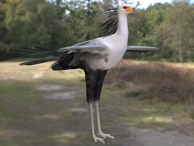 Secretary Bird Spreading Its Wings In A Natural Landscape 3d model