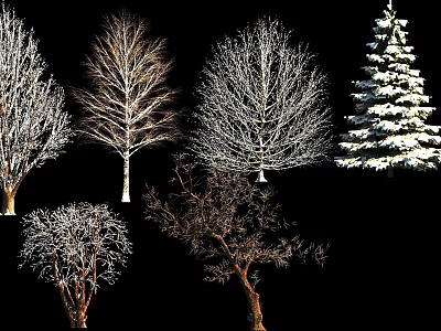 Snow Covered Deciduous and Evergreen Trees in Various Shapes Against Black Background 3d model