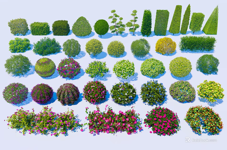 Different Types of Garden Bushes with Lush Foliage and Colorful Flowers 3d model 