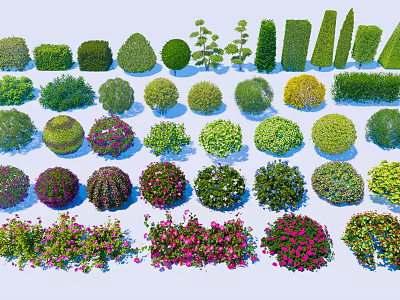 Different Types of Garden Bushes with Lush Foliage and Colorful Flowers 3d model