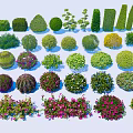 Different Types of Garden Bushes with Lush Foliage and Colorful Flowers