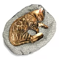Two Tabby Cats Sleeping Peacefully On Colorful Star Pattern Pet Beds