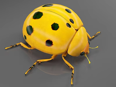 Yellow Spotted Reptile 3D Model With Detailed Black Patterns On Gray Background 3d model