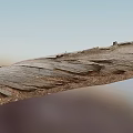 Natural Outdoor Scene With Weathered Wood Logs And Rough Stone Surfaces