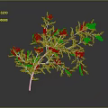 Vibrant Green Plant With Yellow Flowers Thin Stem And Leafy Branches