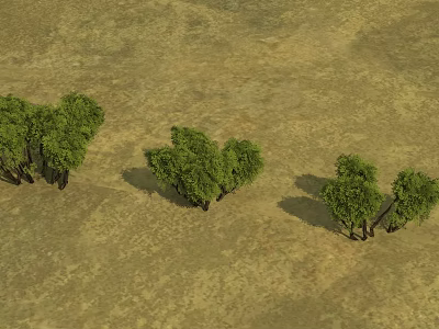 Lush Green Shrubs Growing in Dry Sandy Terrain With Multiple Clusters And Natural Shadows 3d model