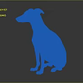 An orange and white dog sitting calmly on dark reflective surface with relaxed posture
