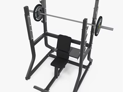 Professional Weight Bench Press Equipment With Barbell Weight Plates And Adjustable Seat 3d model