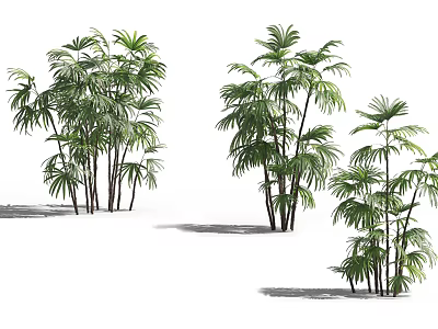 Green Shrubs With Lush Leaves In Various Sizes On White Background 3d model