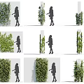 Vine Covered Wall Design Ideas With Lush Foliage And Vertical Garden Features