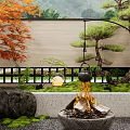 Japanese Style Courtyard Garden With Maple Tree Pine And Fire Pit Seating Area 3d model