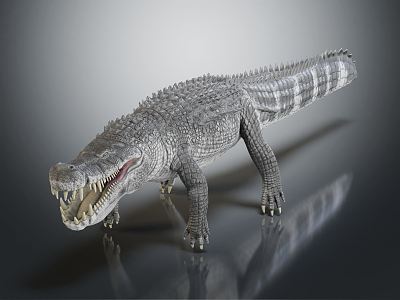 Modern Crocodile Cartoon Crocodile 3d model