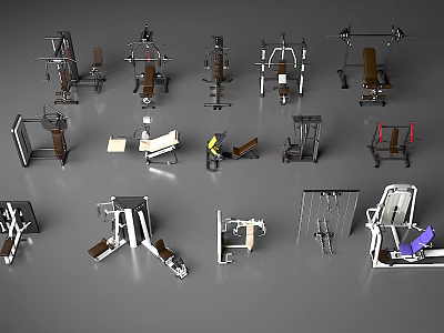 Sports Fitness Equipment Collection Including Strength Training Machines Weight Benches And Barbells 3d model