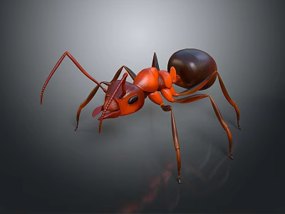 Realistic 3D Rendered Ant With Red Head Black Abdomen And Long Legs 3d model