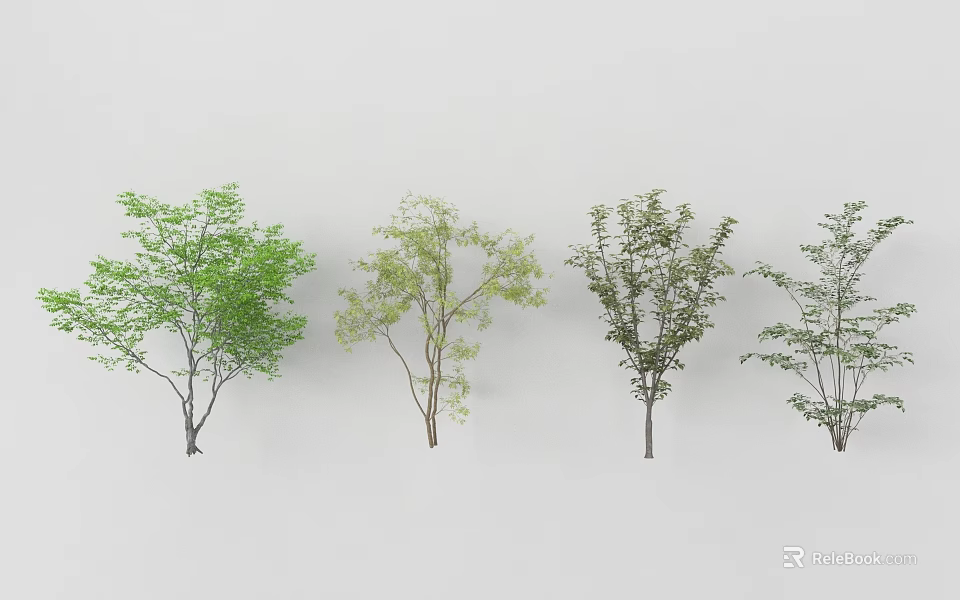 Various Trees With Green Foliage And Different Heights On White Background 3d model