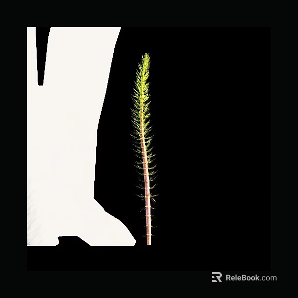 Tall Aquatic Plant With Slender Stem And Needle Like Green Leaves 3d model 