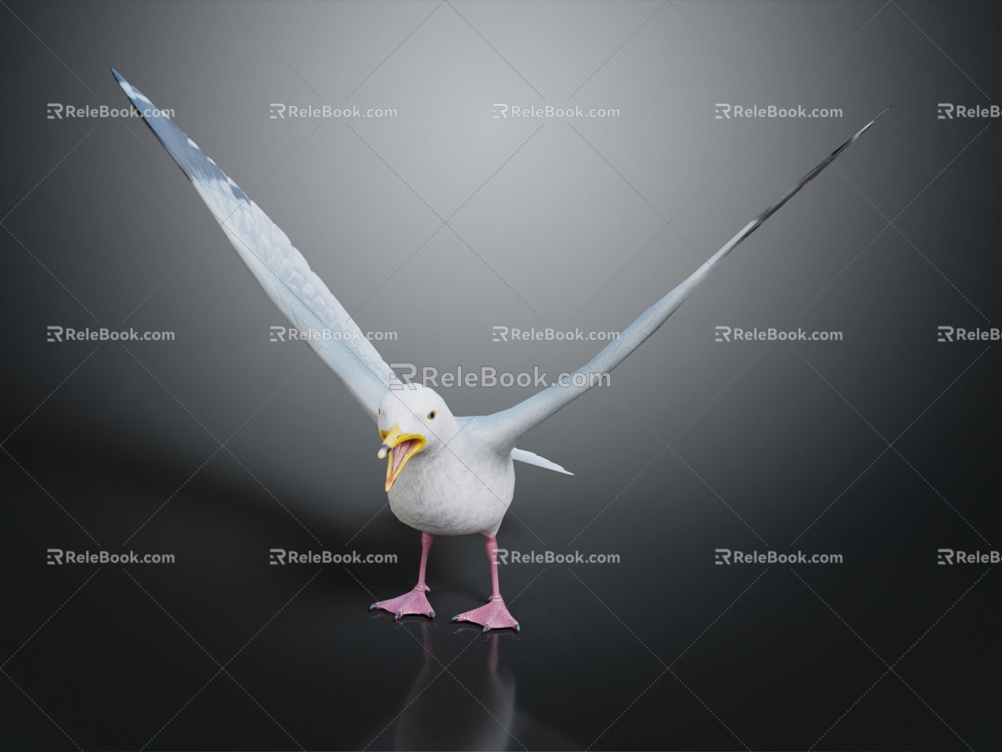 Modern seagull tooth color seagull carrier pigeon food pigeon 3d model