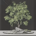Stylish Garden Ornament With Small Tree Rocks Gravel On Tray Against Dark Striped Wall