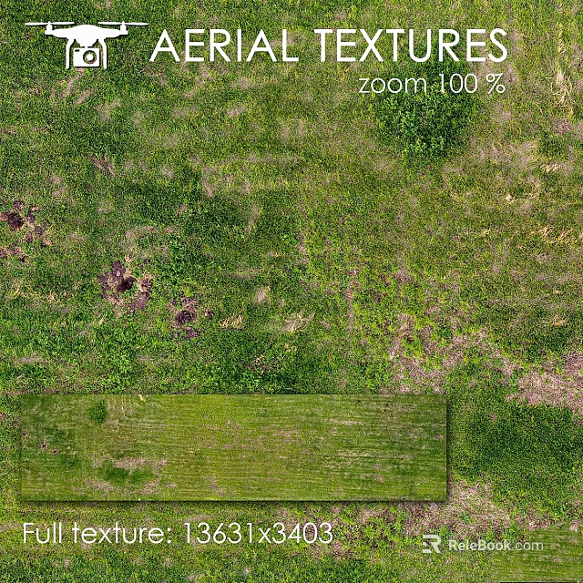 Rustic Wooden Board on Green Grass With Moss and Bare Soil Spots 3d model 