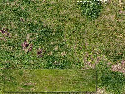 Rustic Wooden Board on Green Grass With Moss and Bare Soil Spots 3d model