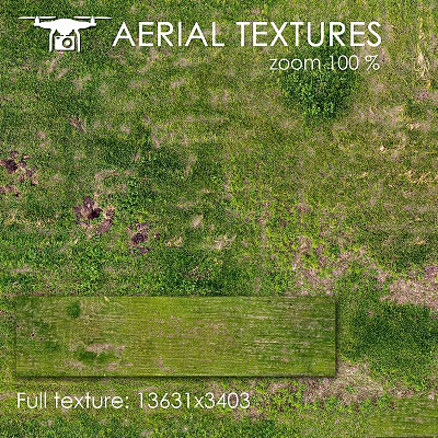 Rustic Wooden Board on Green Grass With Moss and Bare Soil Spots 3d model