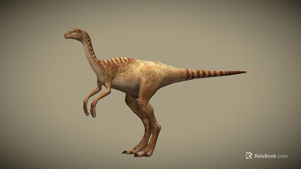 Realistic Bipedal Dinosaur Model With Brown Beige Skin Texture And Long Tail 3d model 