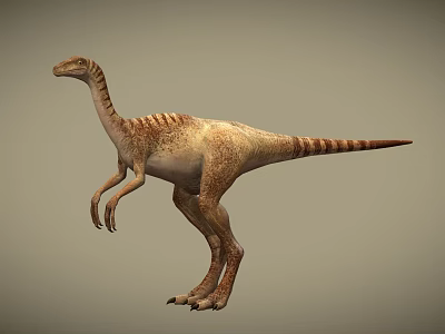 Realistic Bipedal Dinosaur Model With Brown Beige Skin Texture And Long Tail 3d model