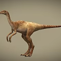 Realistic Bipedal Dinosaur Model With Brown Beige Skin Texture And Long Tail