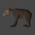 Realistic Brown Bear Game Movie Character With Furry Fur And Standing Stance