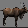 Large Antelope With Spiral Horns And White Stripes On Brown Coat