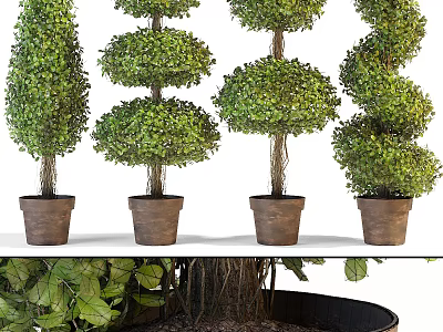 Green Bonsai Potted Plants With Various Shaped Designs In Brown Clay Pots 3d model