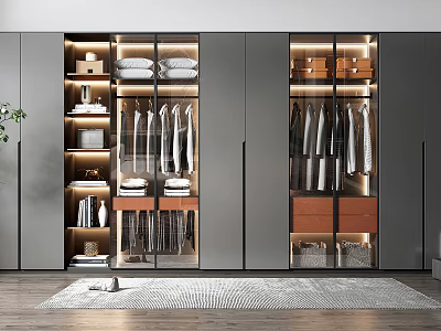 Modern Wardrobe Interior With Glass Doors Shelves Hanging Space And Built In Lighting 3d model