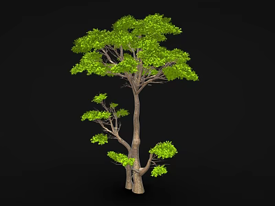 Cartoon Tree Scene With Lush Green Leaves Brown Trunk Multiple Branches And Black Background 3d model