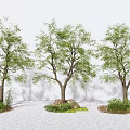 Modern Tree Landscape Tree 3d model