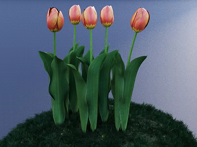 Pink and Yellow Gradient Tulips with Green Leaves Growing on Green Grass against Blue Background 3d model