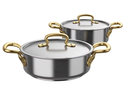 Stainless Steel Cooking Pots With Golden Handles And Lids For Kitchen Use 3d model