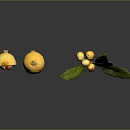 Fresh Loquat Fruits Sliced Open With Branch And Green Leaves