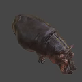 Realistic 3D Hippopotamus Figure With Detailed Skin Texture And Natural Standing Pose