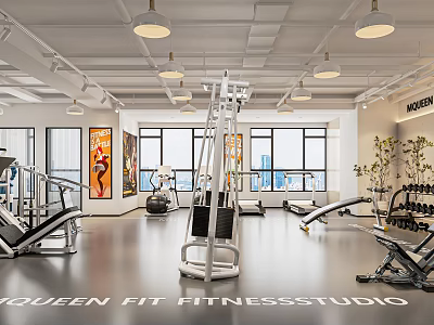 Modern Queen Fit Fitness Studio With Well Equipped Exercise Equipment And Machines 3d model