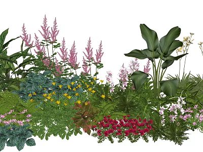 Garden Plant Combination With Mixed Flowers Ferns And Lush Green Foliage 3d model