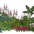 Garden Plant Combination With Mixed Flowers Ferns And Lush Green Foliage